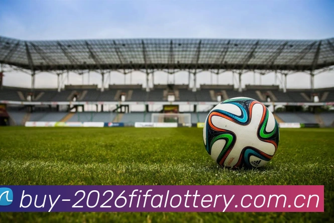 2026世界杯 App 界面